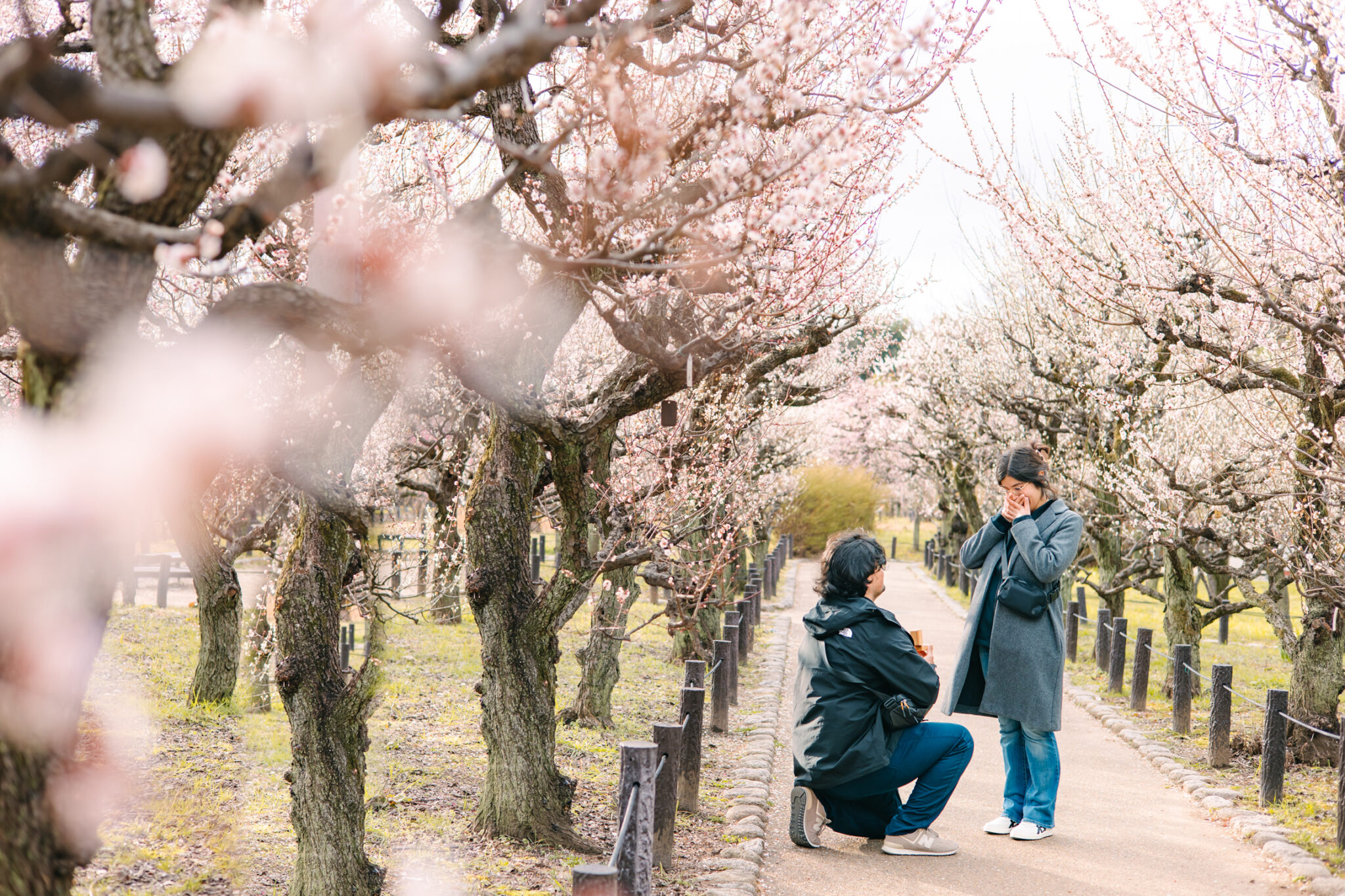Photoshoot tour in Osaka Kyoto Tokyo Nara  | Photoguider-Japan