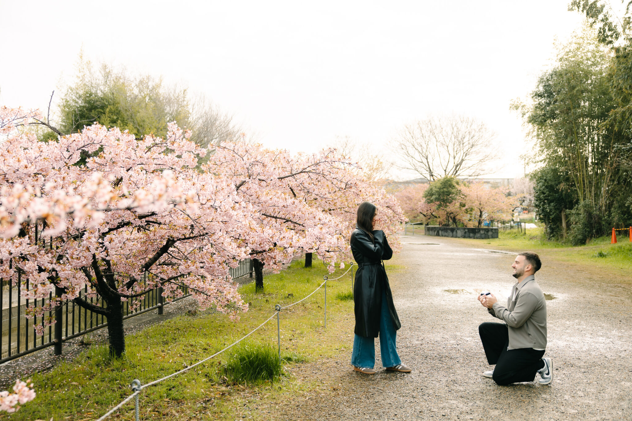 Photoshoot in Osaka Kyoto Nara  | Photoguider-Japan