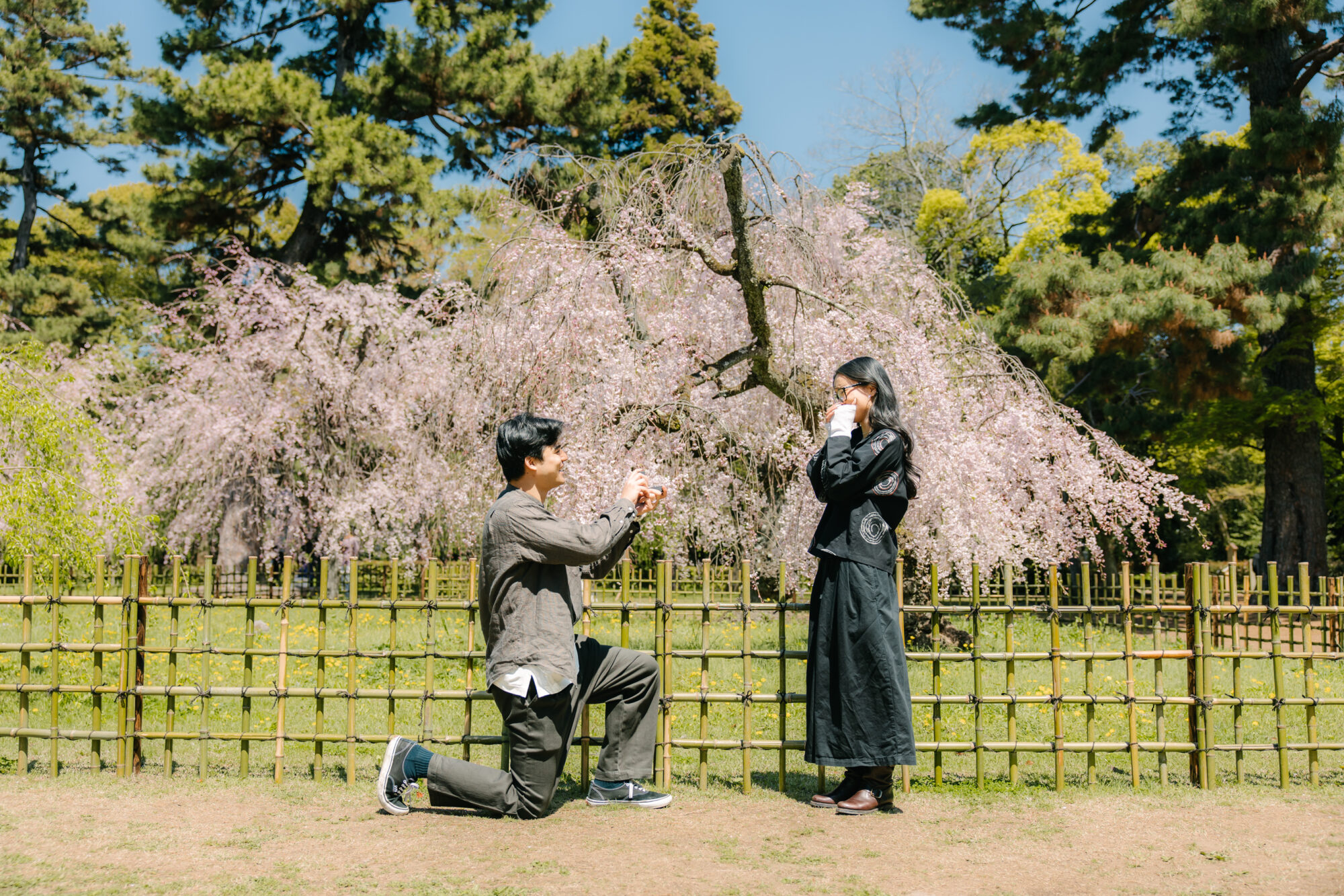 Photoshoot in Osaka Kyoto Nara  | Photoguider-Japan