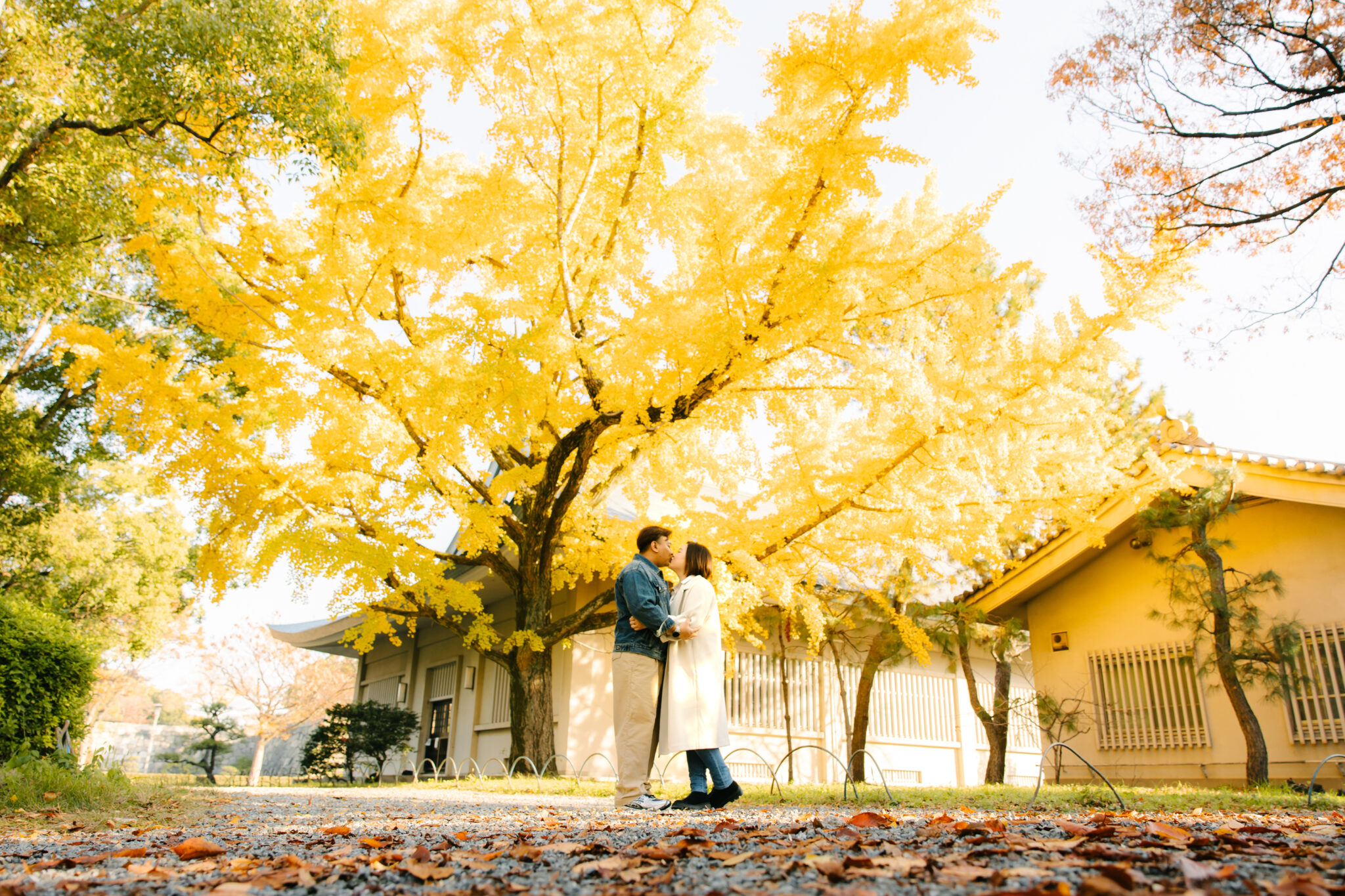 Photoshoot in Osaka Kyoto Nara  | Photoguider-Japan
