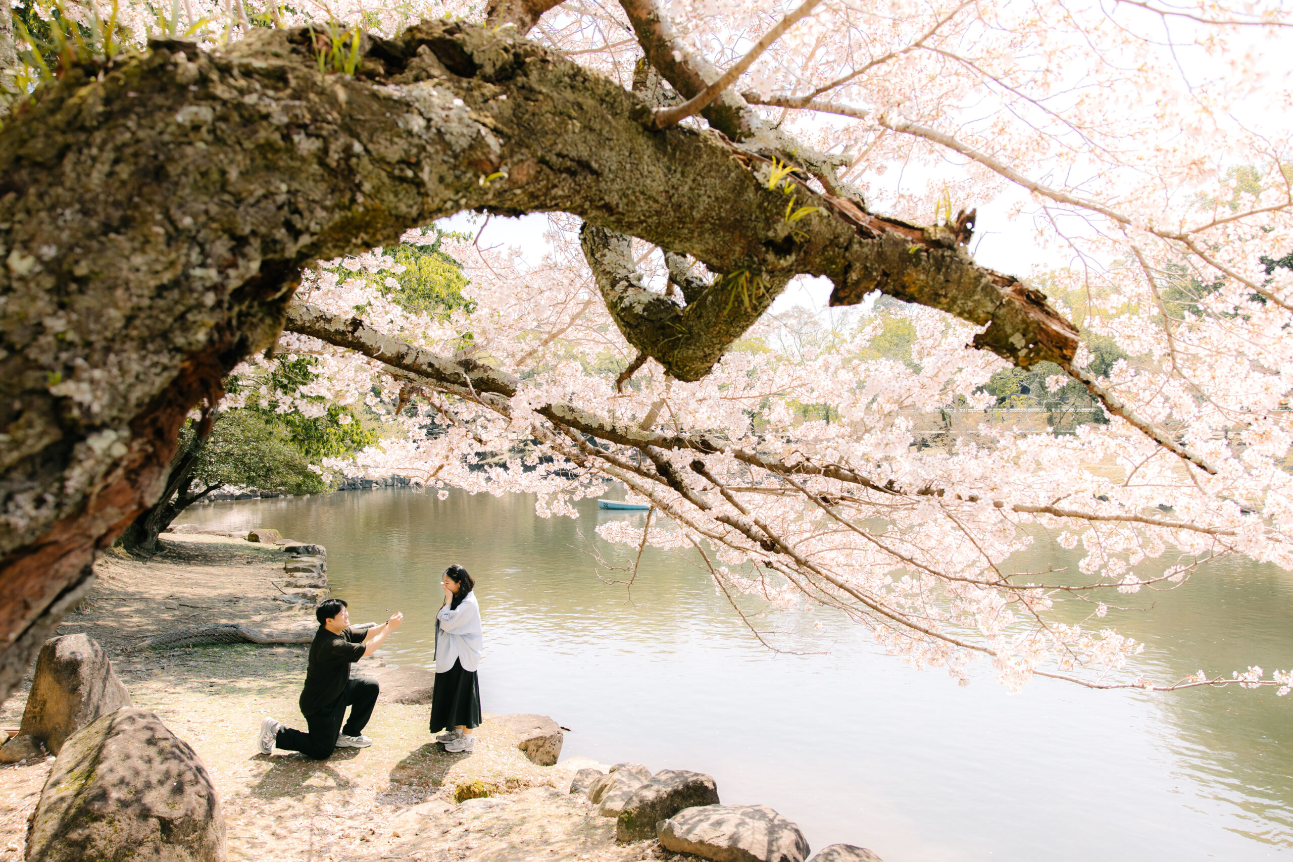 Photoshoot in Osaka Kyoto Nara  | Photoguider-Japan