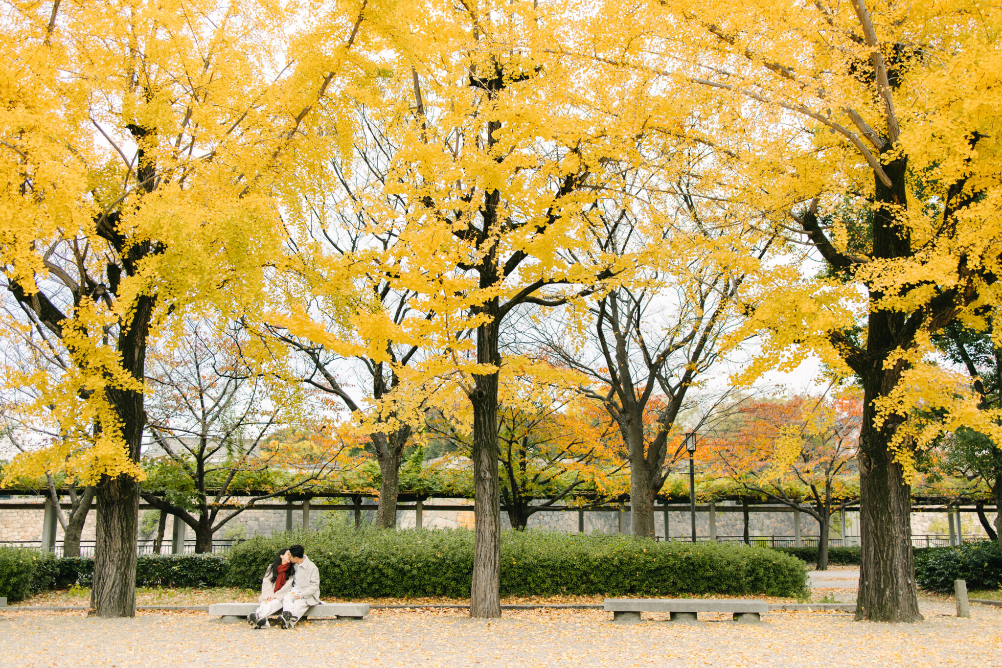 Photoshoot tour in Osaka Kyoto Tokyo Nara  | Photoguider-Japan